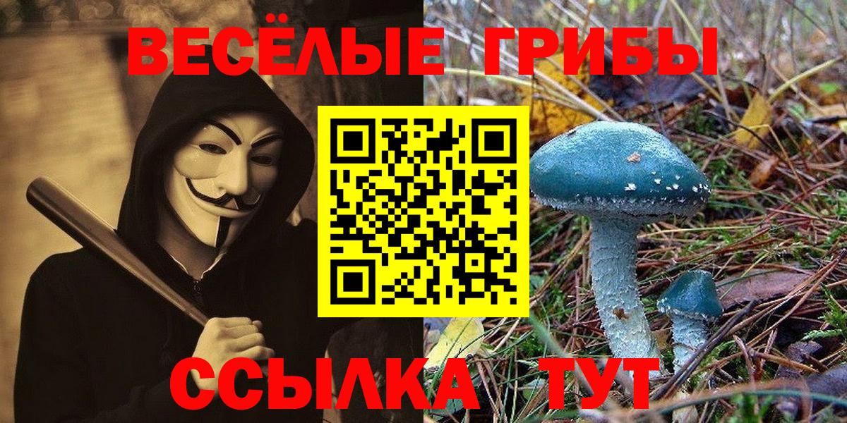 Псилоцибиновые грибы Psilocybine cubensis  Вход с VPN  продажа наркотиков  Псилоцибиновые грибы Psilocybe  Ступино 